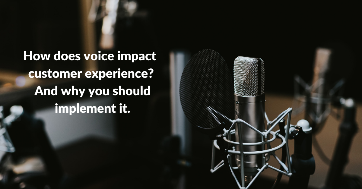 How does voice impact customer experience? And why you should implement it.